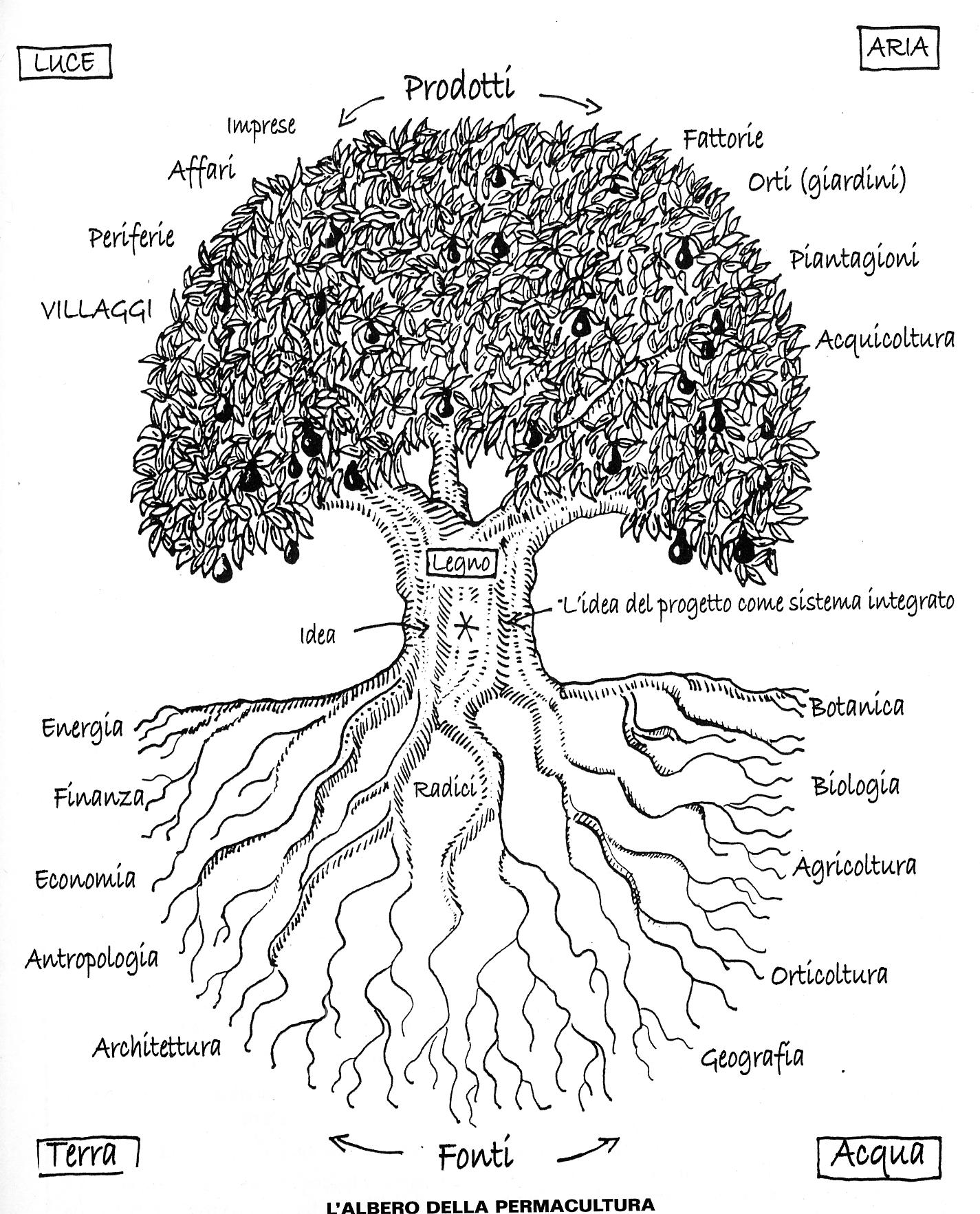 albero permacultura