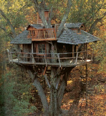 treehouse[1]